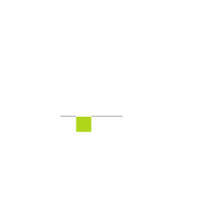Logo Proflowpavers
